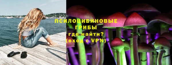 гидра Осташков