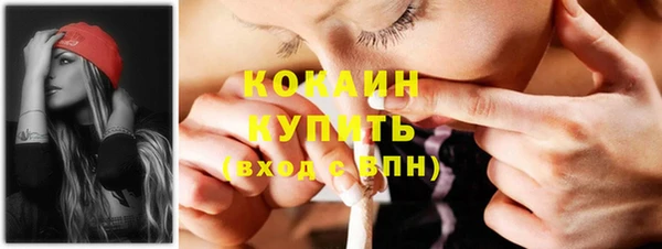 ECSTASY Пересвет