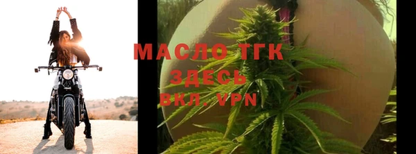 ECSTASY Пересвет