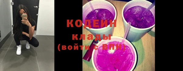 ECSTASY Пересвет