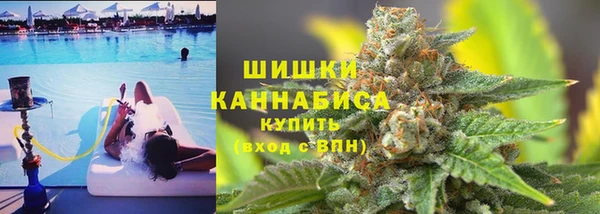 ECSTASY Пересвет