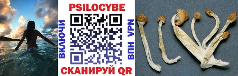 Галлюциногенные грибы мухоморы  что такое   Юрьев-Польский 